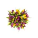 Bouquet of 45 mixed tulips (imported, Netherlands)