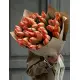 Bouquet of 45 orange tulips (imported, Netherlands)