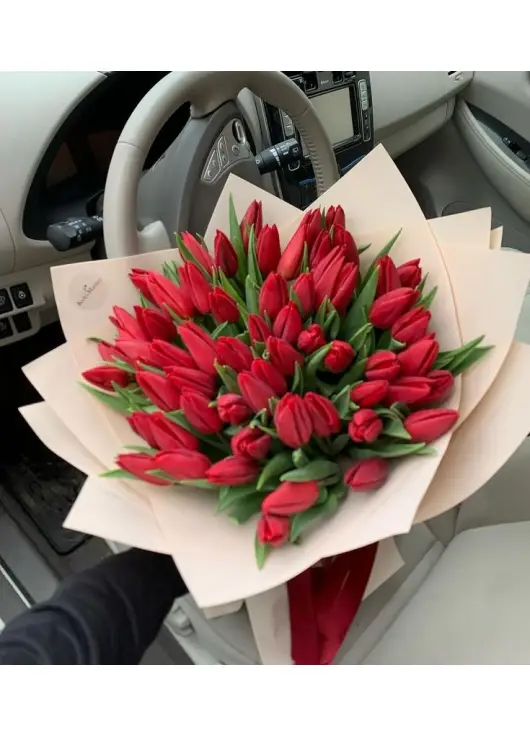 Bouquet of 45 red tulips (imported, Netherlands)