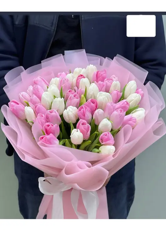 Bouquet of 45 tender tulips (imported, Netherlands)