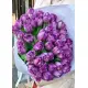 Bouquet of 45 violet tulips (imported, Netherlands)
