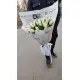 Bouquet of 45 white tulips (imported, Netherlands)