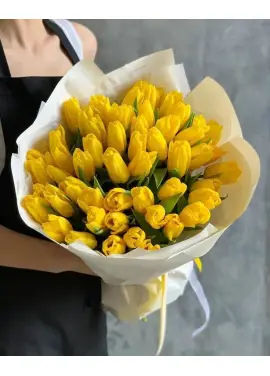 Bouquet of 45 yellow tulips (imported, Netherlands)