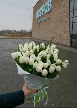 Bouquet of 51 white tulips