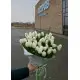 Bouquet of 51 white tulips Bouquet of 51 white tulips