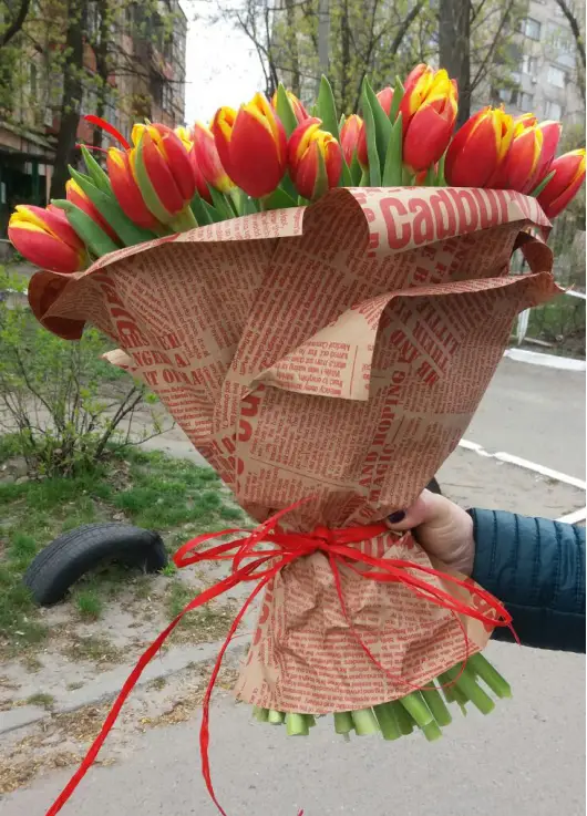 Tulips in newspaper