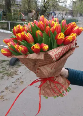 Bouquet of 51 orange tulips (imported, Netherlands)