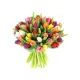 Bouquet of 51 mixed tulips (imported, Netherlands)
