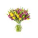 51 multicolored tulips 51 multicolored tulips