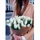 Bouquet of 51 white tulips Bouquet of 51 white tulips