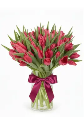 Bouquet of 51 raspberry tulips (imported, Netherlands)