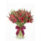 Bouquet of 51 raspberry tulips (imported, Netherlands)