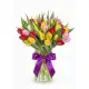 Bouquet of 51 mixed tulips (imported, Netherlands)