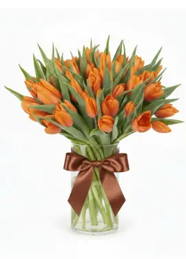 Bouquet of 51 orange tulips (imported, Netherlands)