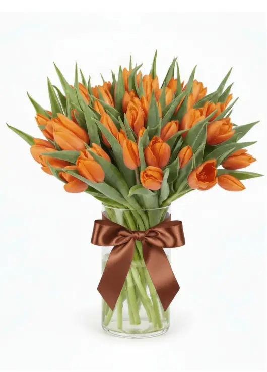 Bouquet of 51 orange tulips (imported, Netherlands)