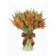 Bouquet of 51 orange tulips (imported, Netherlands)
