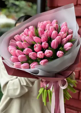Bouquet of 51 pink tulips (imported, Netherlands)