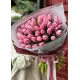 Bouquet of 51 pink tulips (imported, Netherlands)