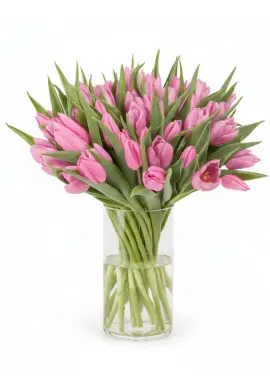 Bouquet of 51 pink tulips (imported, Netherlands)