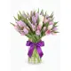 Bouquet of 51 tender tulips (imported, Netherlands)