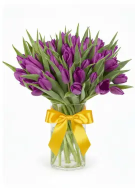 Bouquet of 51 violet tulips (imported, Netherlands)