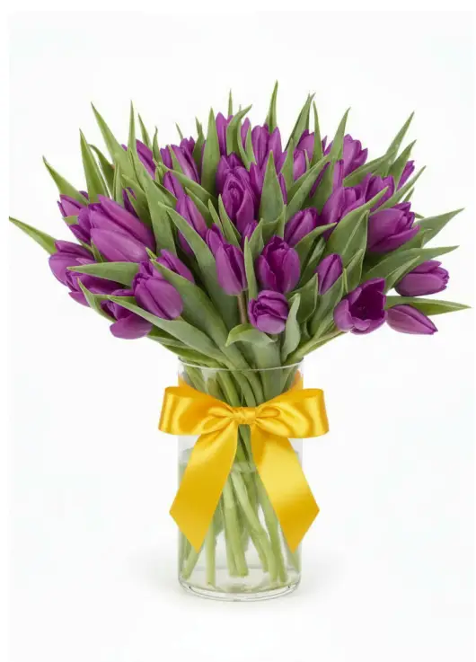 Bouquet of 51 violet tulips (imported, Netherlands)