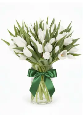 Bouquet of 51 white tulips (imported, Netherlands)