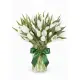 Bouquet of 51 white tulips (imported, Netherlands)