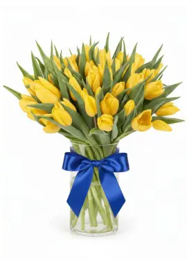 Bouquet of 51 yellow tulips (imported, Netherlands)