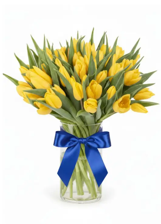 Bouquet of 51 yellow tulips (imported, Netherlands)
