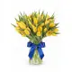 Bouquet of 51 yellow tulips (imported, Netherlands)
