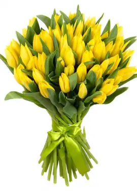 Bouquet of 51 yellow tulips