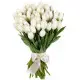 Bouquet of 51 white tulips Bouquet of 51 white tulips