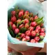 Bouquet of 51 raspberry tulips (imported, Netherlands)