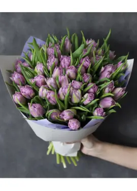 Bouquet of 51 lilac tulips (imported, Netherlands)