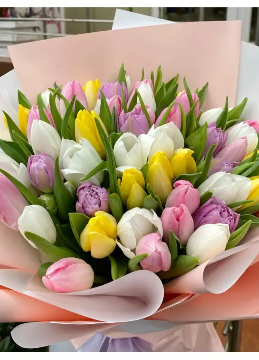 Bouquet of 51 mixed tulips (imported, Netherlands)