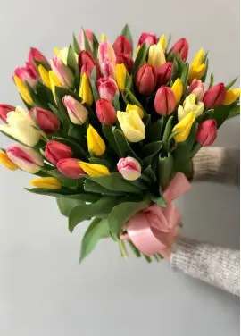 Bouquet of 51 mixed tulips (imported, Netherlands)