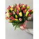 Bouquet of 51 mixed tulips (imported, Netherlands)