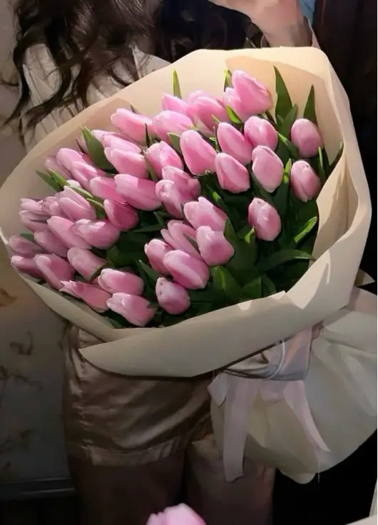Bouquet of 51 pink tulips (imported, Netherlands)