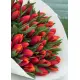Bouquet of 51 red tulips (imported, Netherlands)