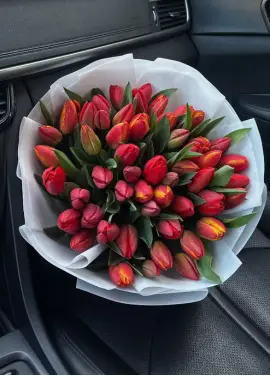Bouquet of 51 red tulips (imported, Netherlands)