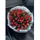 Bouquet of 51 red tulips (imported, Netherlands)