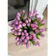 Bouquet of 51 violet tulips (imported, Netherlands)