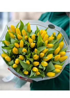 Bouquet of 51 yellow tulips (imported, Netherlands)