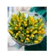 Bouquet of 51 yellow tulips (imported, Netherlands)