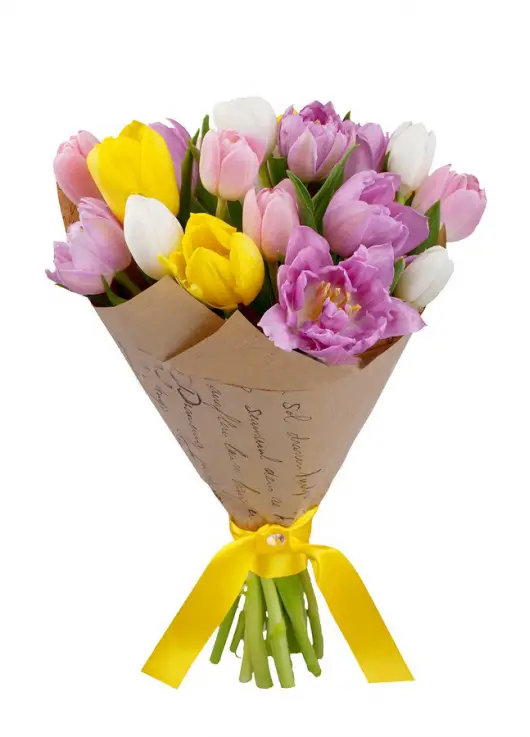 Bouquet of tulips