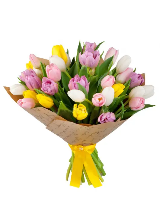 Bouquet of tulips