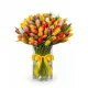 Bouquet of 75 mixed tulips (imported, Netherlands)