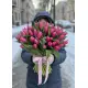 Bouquet of 75 raspberry tulips (imported, Netherlands)