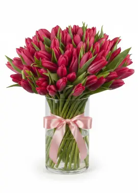 Bouquet of 75 raspberry tulips (imported, Netherlands)